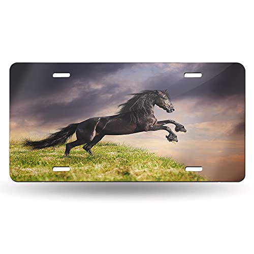 Friesian Black Horse Running