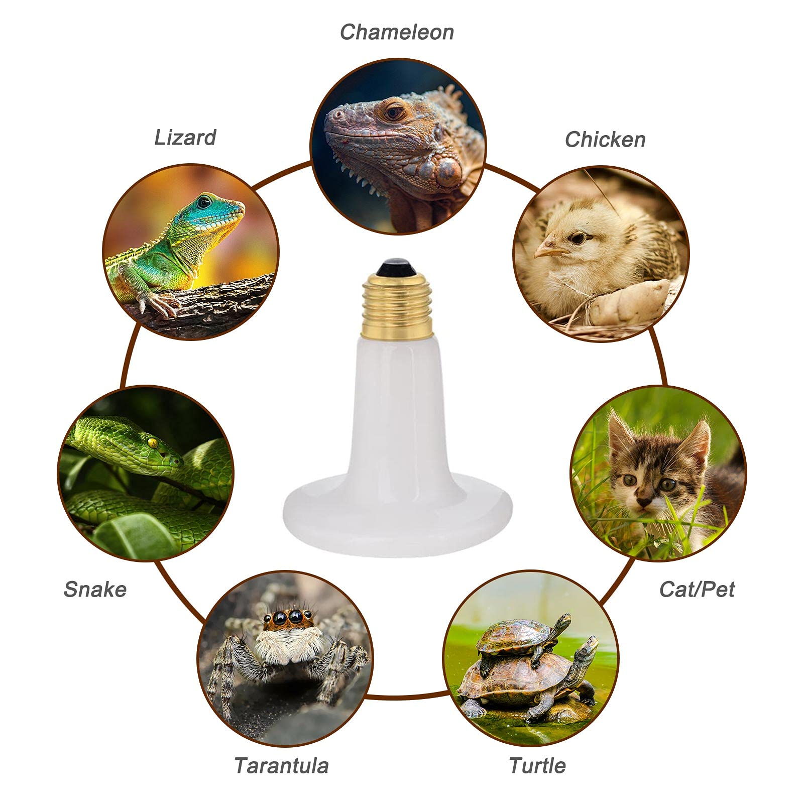 100W 2 Pack Ceramic Heat Lamp Bulb - Dimmable Infrared Reptile Heater with No Light Emission - ETL Certified for Chicken Coop, Turtle Tank & Lizard Terrarium - Perfect for Reptile Habitat, Pet Brooder & Poultry Warming