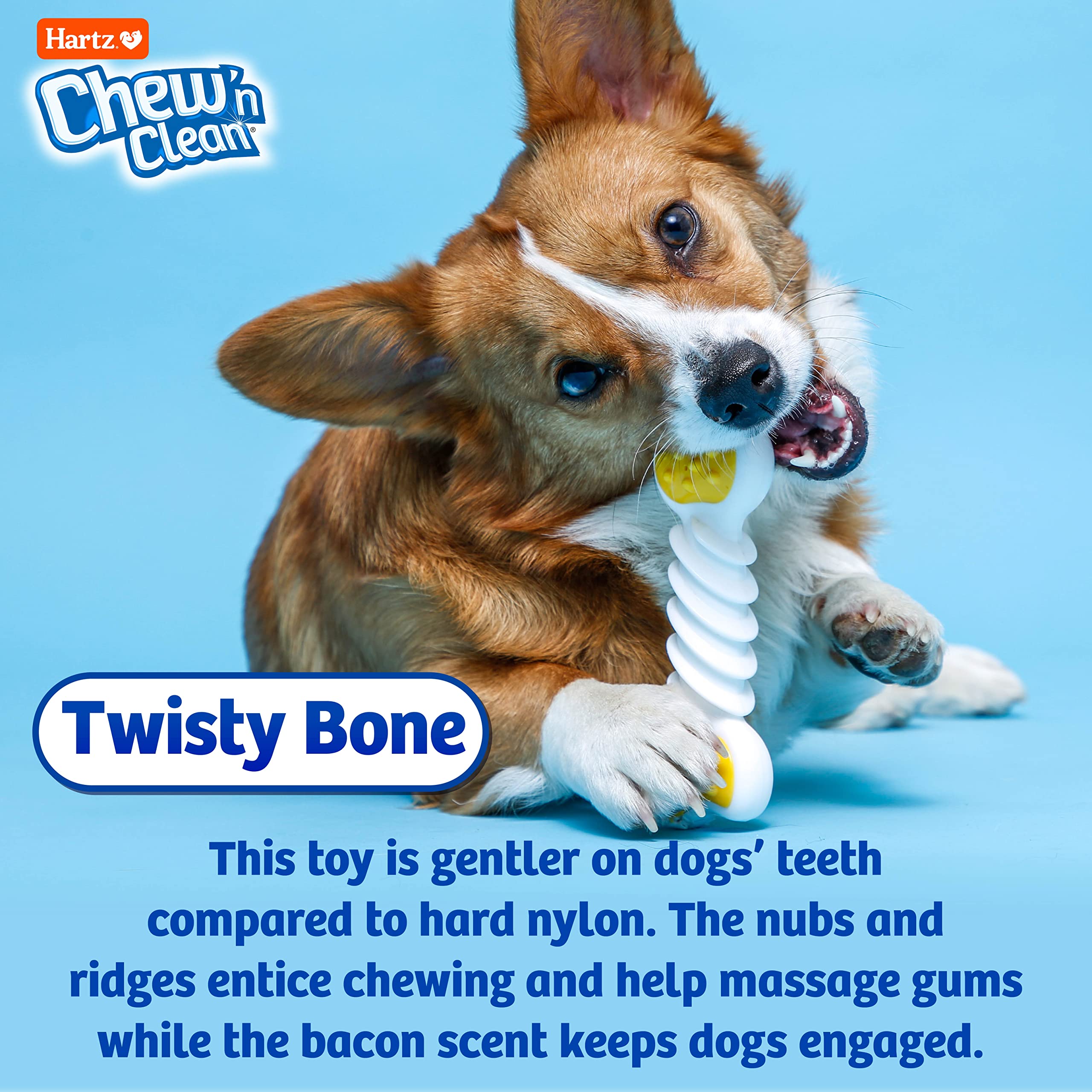 Hartz Chew 'n Clean Twisty Bone Dog Chew Toy - Bacon Scented, Durable Chew Toy for Small/Medium Dogs, Moderate Chewers (Color Varies) | Perfect for Teething, Dental Health & Playtime