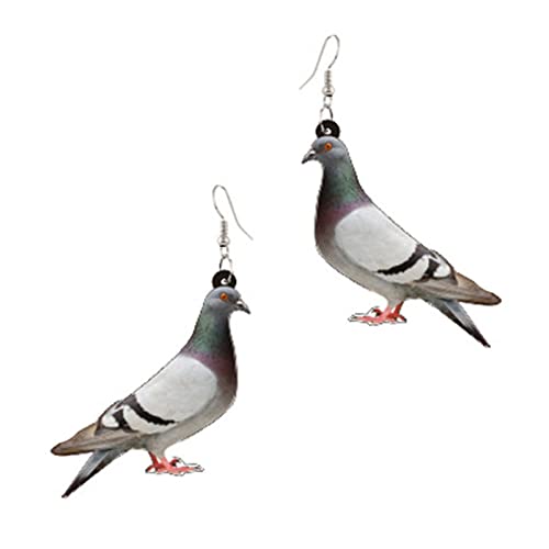 Pigeon