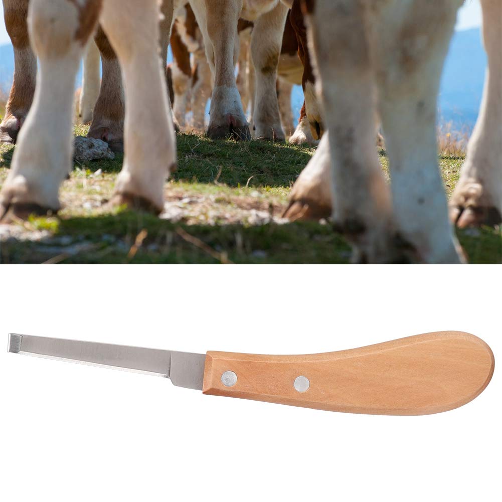 Premium Right-Handed Hoof Knife with Ergonomic Wooden Handle - Ultra Sharp Carbon Steel Farrier Tool for Trimming Horses, Donkeys & Cows - Perfect for Professional Grooming, Stable Maintenance & Livestock Care