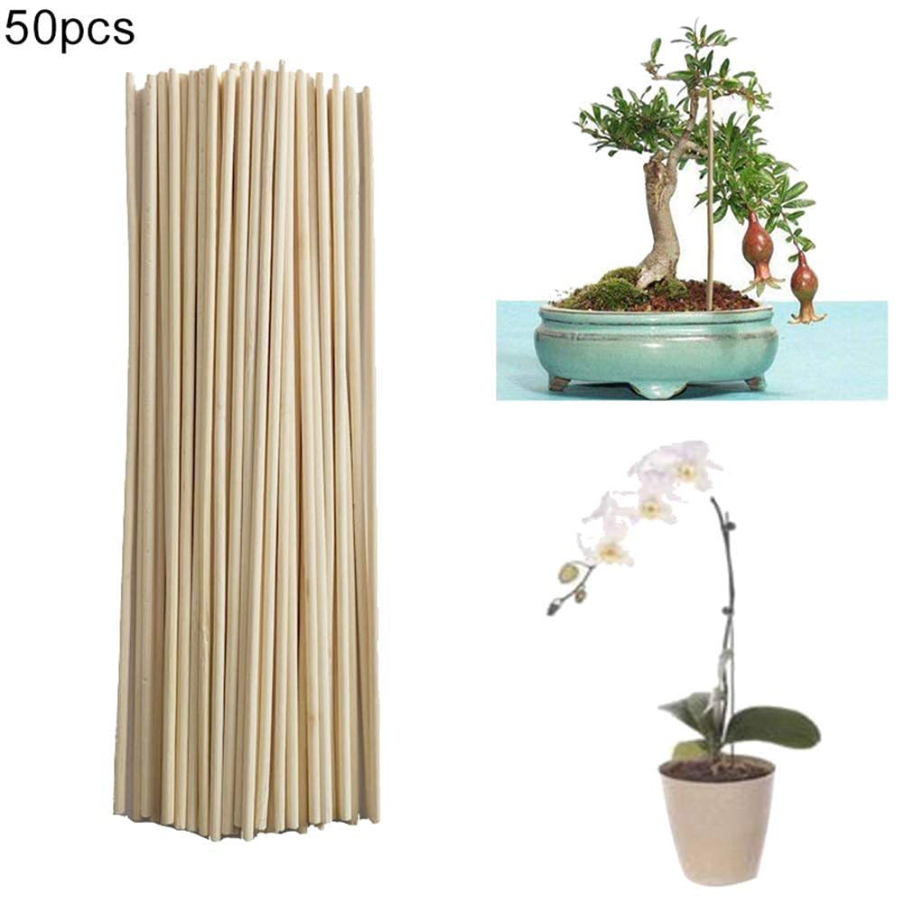50Pcs Bamboo Plant Support Stakes - Garden Single Stem Support Sticks for Potted Flowers, Vegetables & Vines - Natural Plant Grow Support Canes for Indoor/Outdoor Gardening (Perfect for Roses, Tomatoes & Climbing Plants)