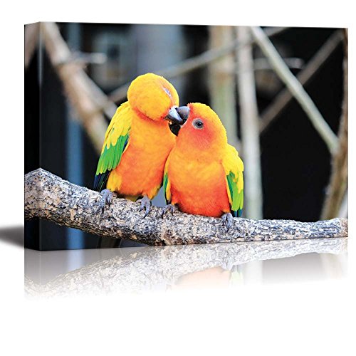 Parrot