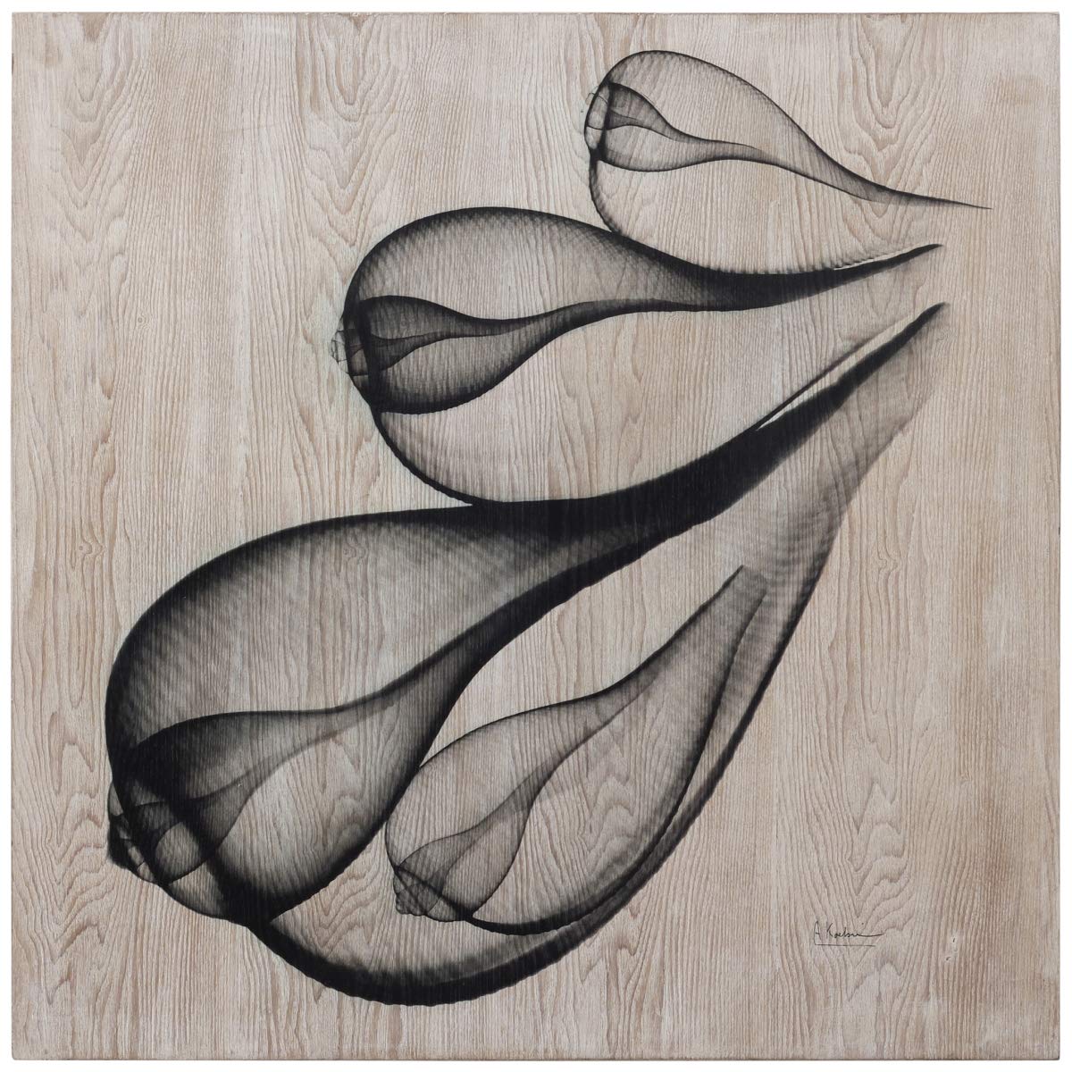 Empire Art Direct Coastal Serenity I Wall Art - X-Ray Photo Giclee Print on Hand-Finished Ash Wood - 24x24 Inches - Ready to Hang - Modern Home Decor for Living Room, Bedroom & Office - Perfect for Beach House, Coastal Style or Minimalist Interior Design