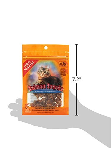 Premium Freeze-Dried Salmon Cat Treats - High Protein, Grain-Free, All-Natural - Perfect for Training, Rewards & Dental Health