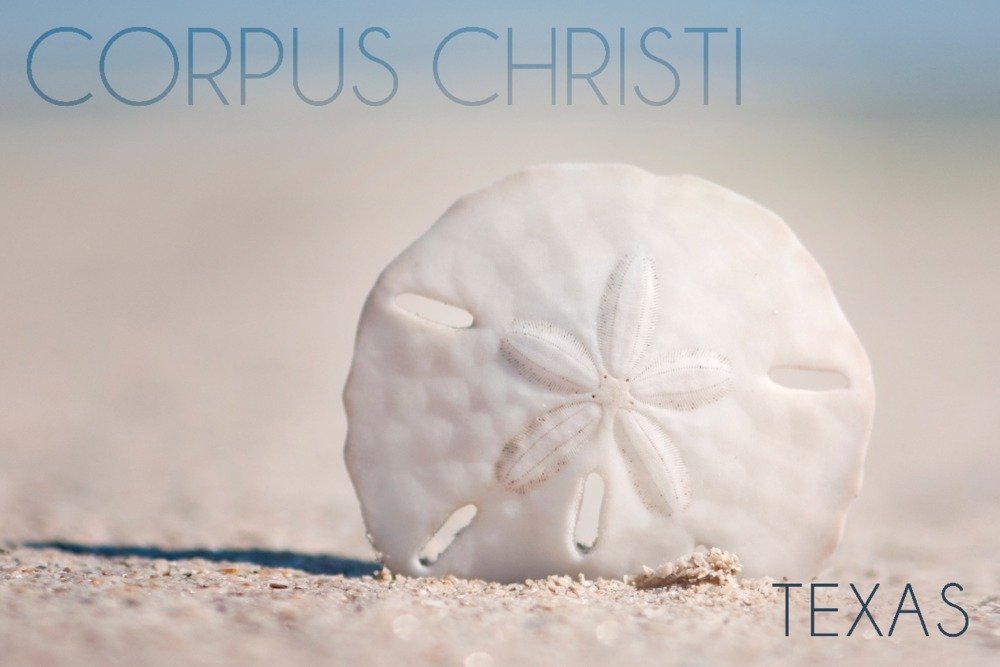 Texas Corpus Christi Sand Dollar & Beach Art Print - 24x36 Giclee Gallery Quality Wall Decor with Vivid Textures | Perfect for Coastal Living Rooms, Beach House Decor & Ocean Themed Offices