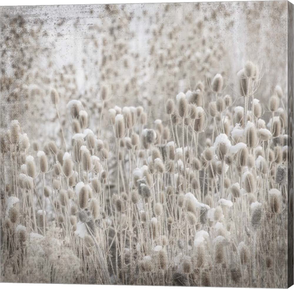 My Farm My Way Photos 2 by LightBoxJournal - 20x20 Inch Premium Canvas Wall Art, Gallery Wrapped Ready to Hang - Perfect for Farmhouse Decor, Living Room & Office Wall Decor