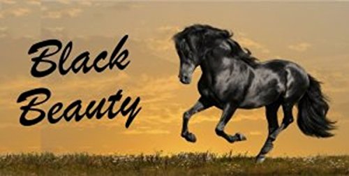Black Beauty Horse Photo License Plate - Custom Car Tag for Equestrian Lovers - Perfect for Trucks, Trailers & Horse Show Vehicles