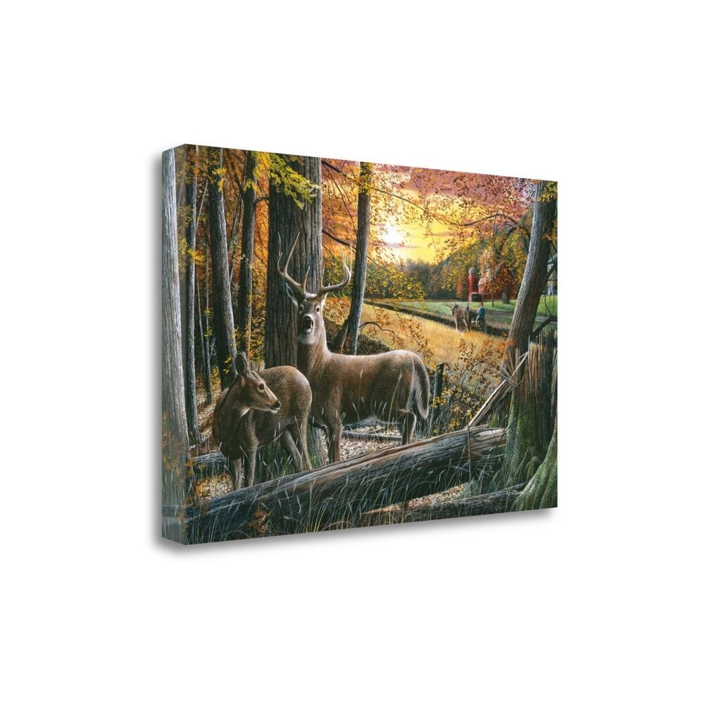 Autumn Harvest by Kevin Daniel - Premium Giclee Art Print on Gallery Wrapped Canvas, Ready to Hang Wall Decor for Living Room, Bedroom & Office