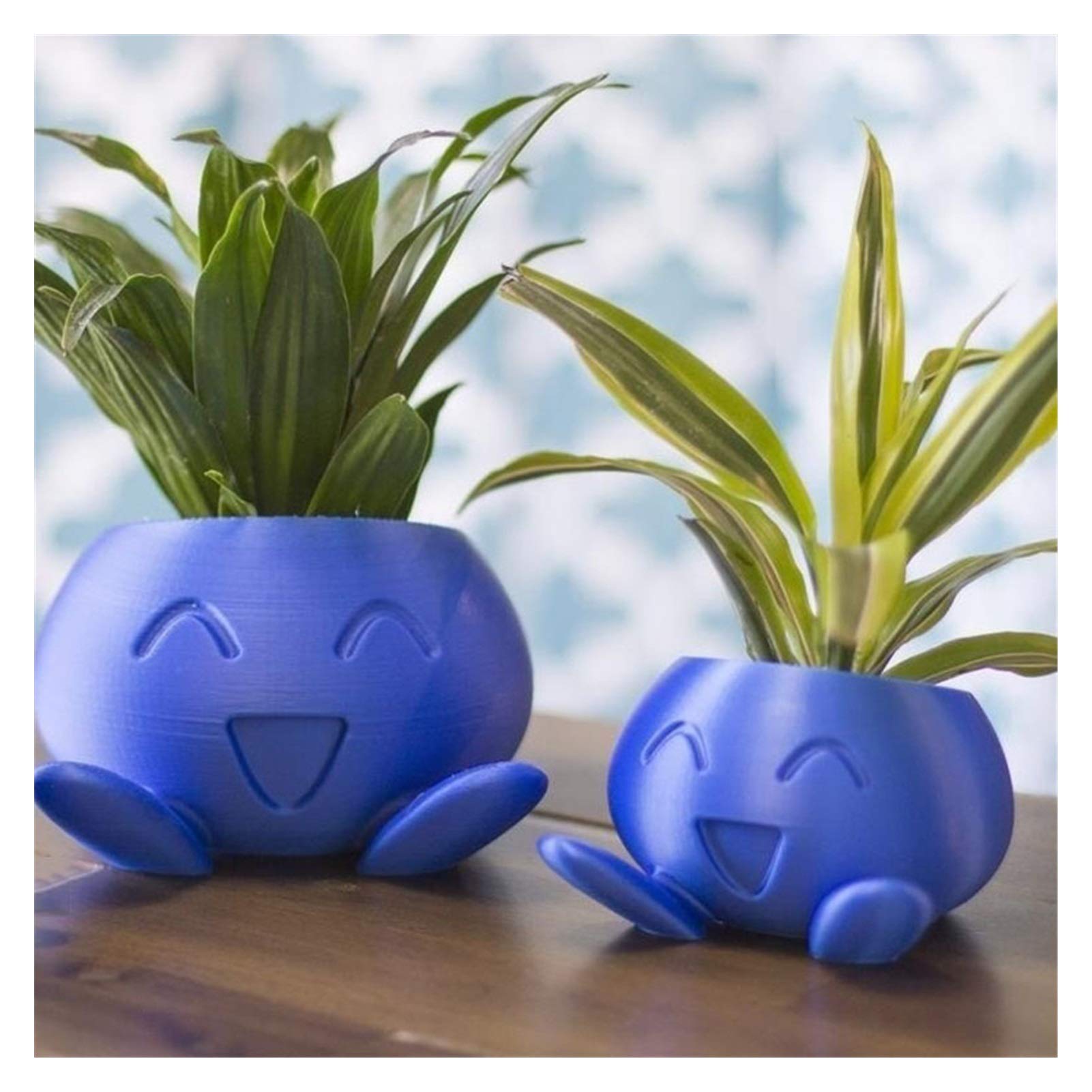 Oddish Succulent Planter - Small Blue Flower Pot for Succulents, Cacti & Air Plants | Perfect for Home, Office & Garden Decor