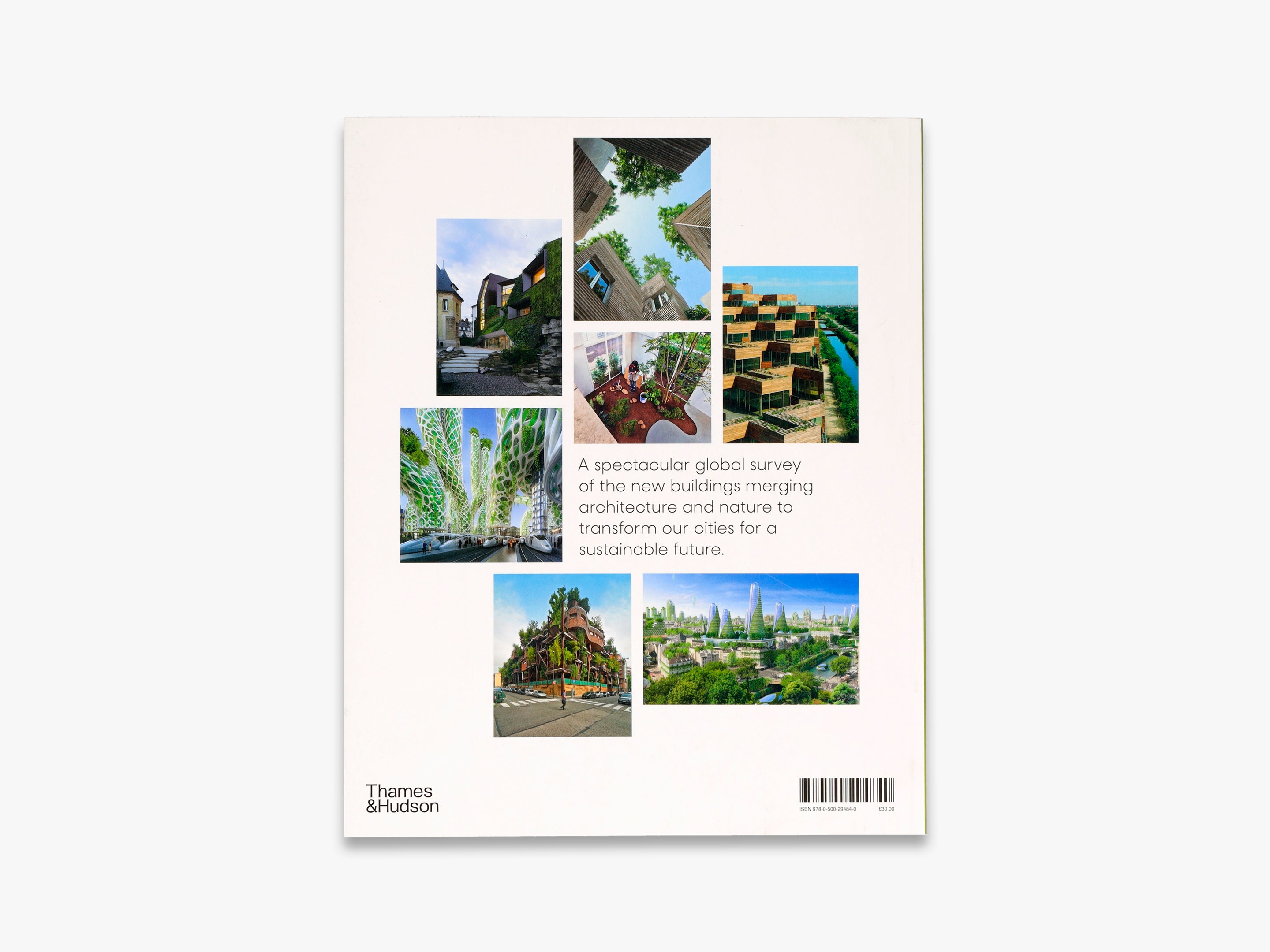 Garden City 1 - Premium Gardening Tools & Supplies for Urban Gardeners | Perfect for Balcony, Patio & Small Space Gardening