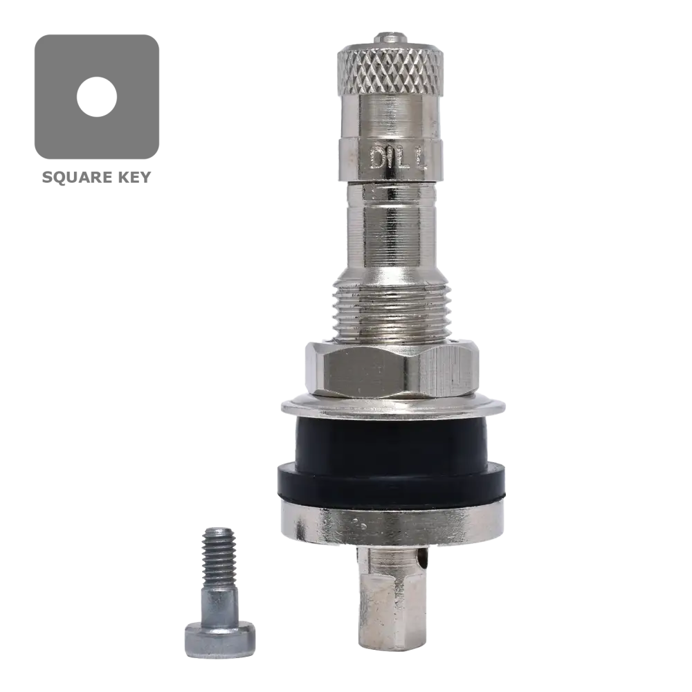 Dill VS 919 TPMS Metal Valve Stem for 0.625 VH - Compatible with GM, Ford, RAM & 7006HPR (Each) - Perfect for Tire Pressure Monitoring System Replacement & Vehicle Maintenance