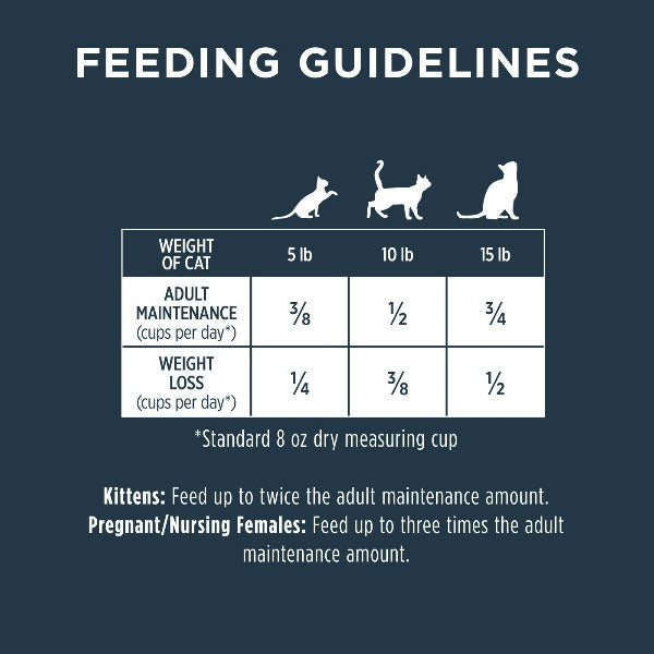 Instinct Raw Boost Grain Free Dry Cat Food with Real Salmon - High Protein, Natural Ingredients for Adult Cats, 4.5 lb Bag - Perfect for Indoor Cats & Weight Management
