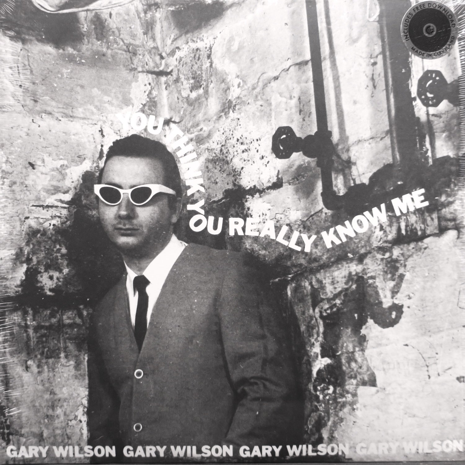 GARY WILSON 'You Think You Really Know Me' Vinyl LP Record (1977 New Wave, Limited Edition) - Perfect for Music Collectors & Retro Home Decor