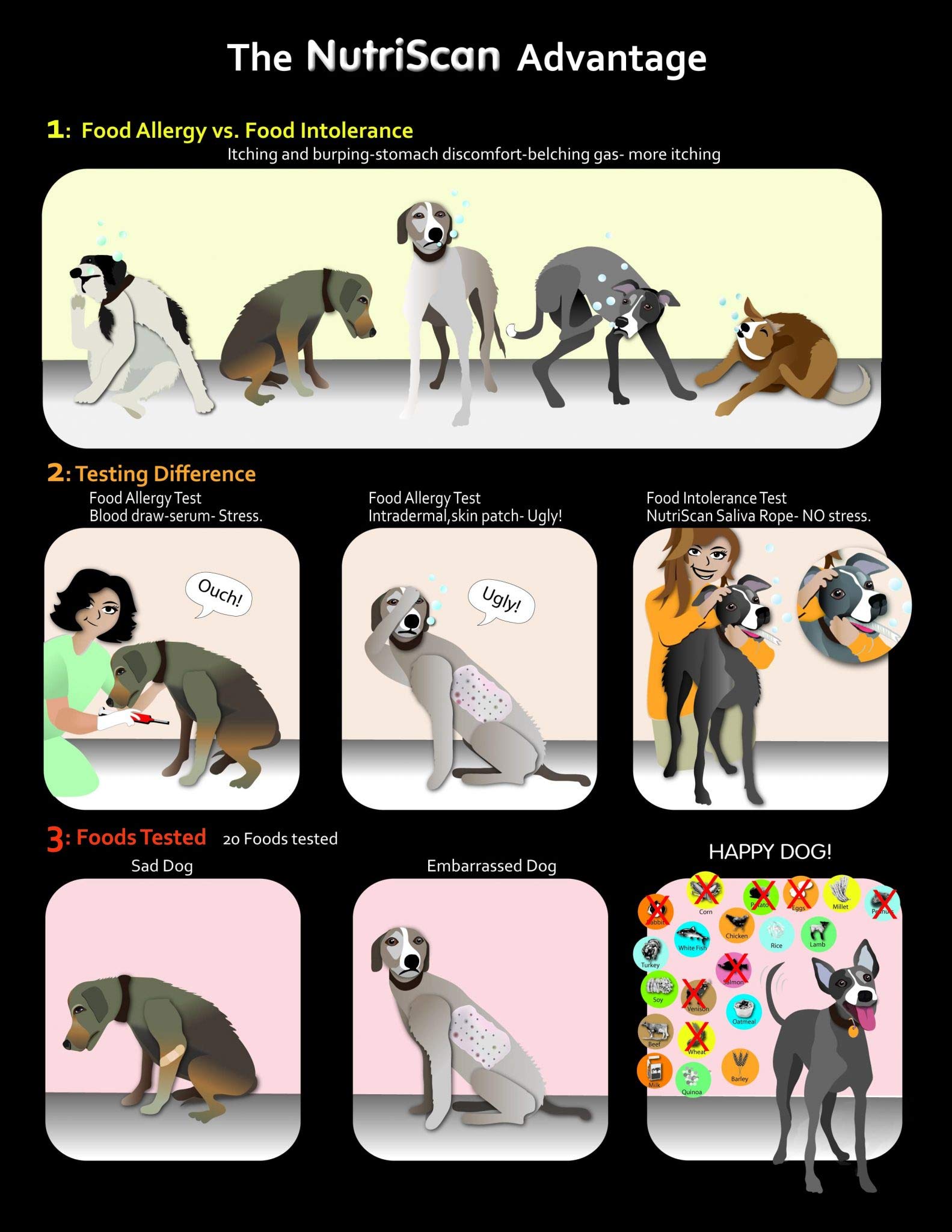 At-Home Pet Food Intolerance Test for Cats | Accurate Sensitivity Screening Kit | Identify Allergies & Digestive Issues | Perfect for Multi-Cat Households & Picky Eaters