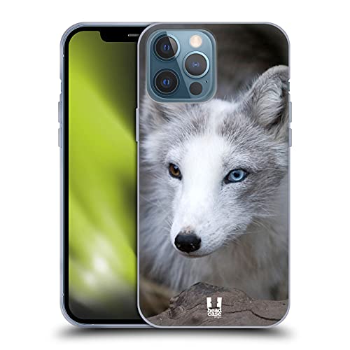 Coloured Eye Arctic Fox