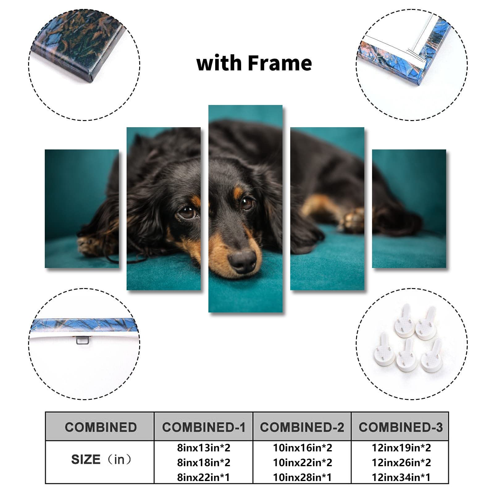 Dachshund Dog Canvas Wall Art - 5 Piece Framed Set, 50