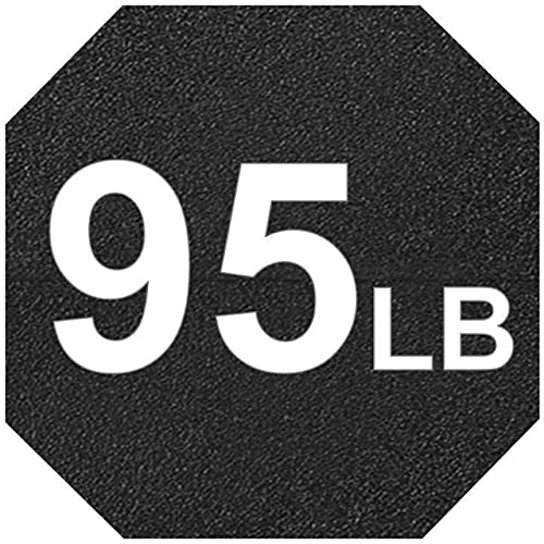v. 95 LB Pair (2 x 95lb)