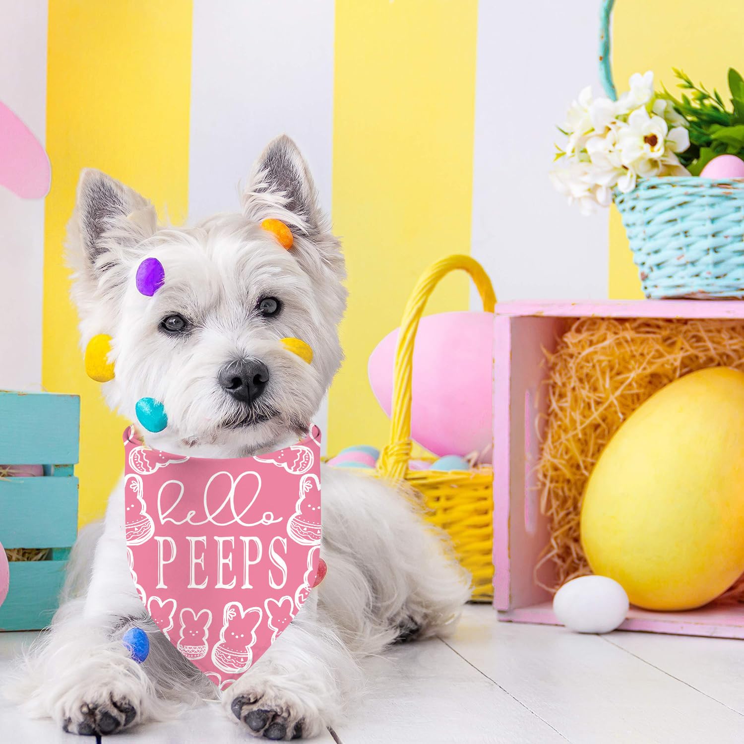 Reversible Easter Dog Bandanas - 2 Pack Dual-Layer Easter Egg Design Pet Bandana for Small & Large Dogs - Perfect Easter Gift for Puppies - Great for Easter Photos, Egg Hunts & Holiday Celebrations