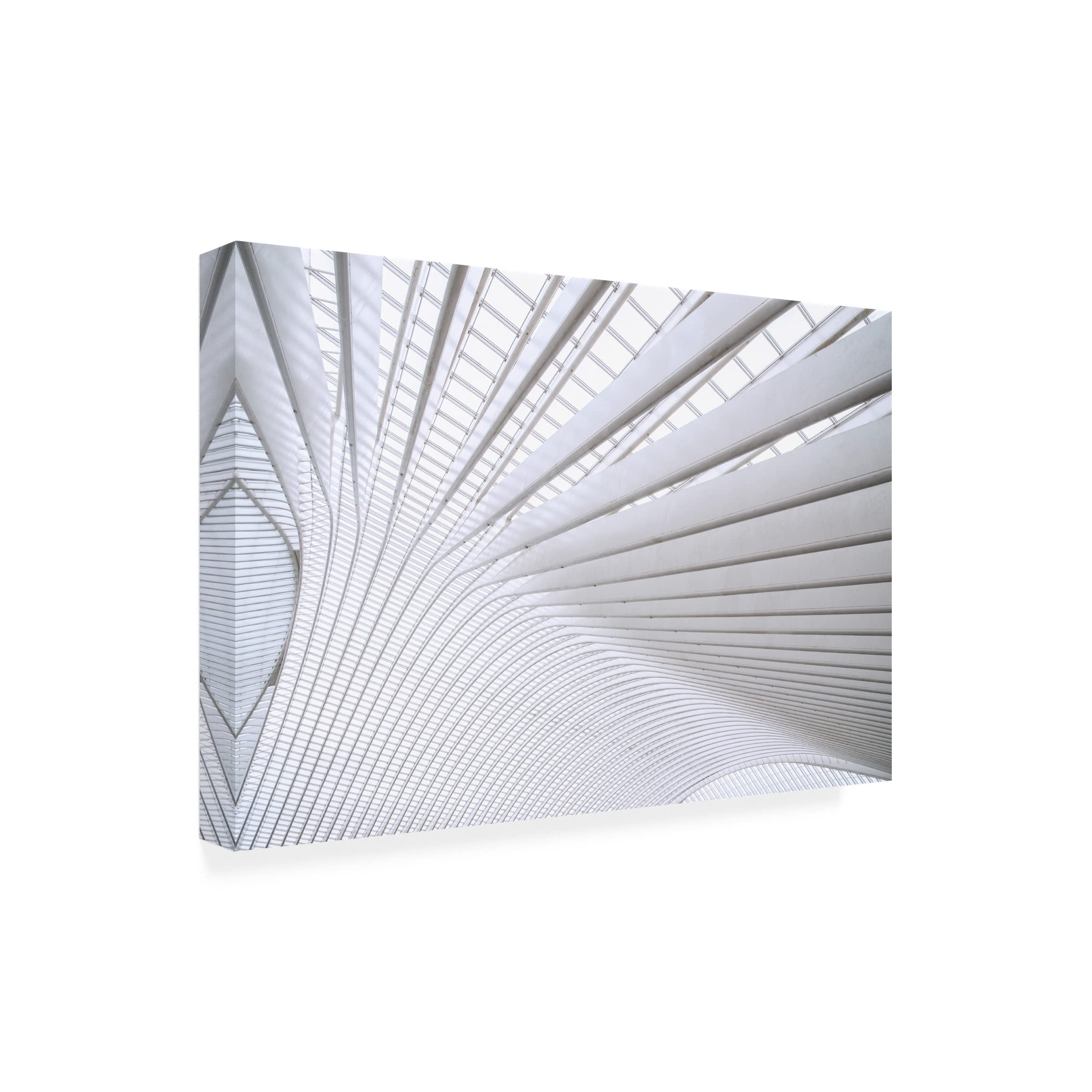 Trademark Fine Art 'Curvature' Abstract Canvas Painting by Linda Wride - Modern Wall Art for Living Room, Bedroom & Office Decor