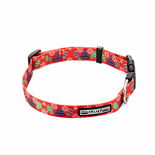 Chilly Dog Collar