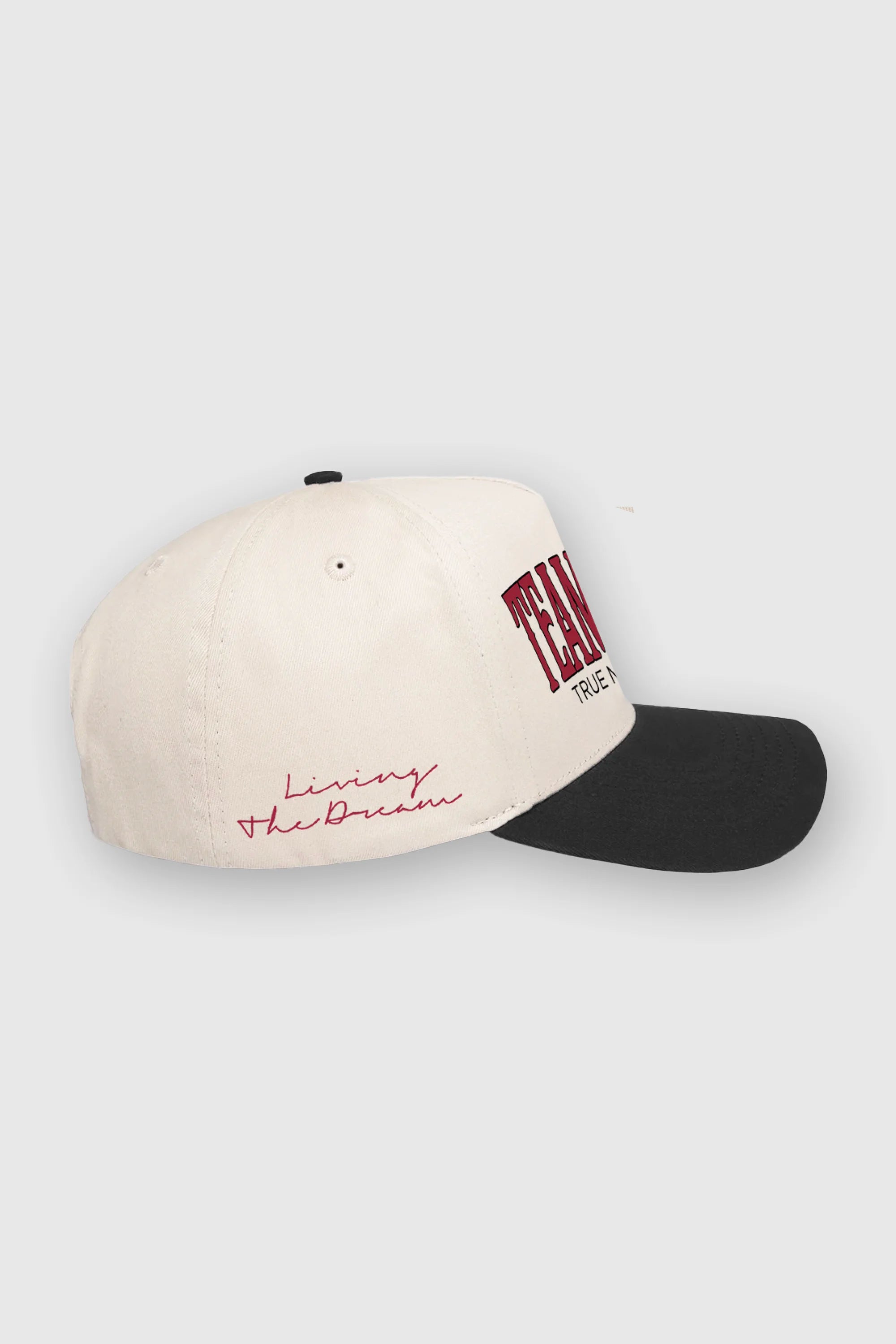 True North Snapback Hat - Adjustable Dad Cap for Men & Women - Vintage Style Baseball Cap - Perfect for Outdoor Sports, Casual Wear & Street Fashion