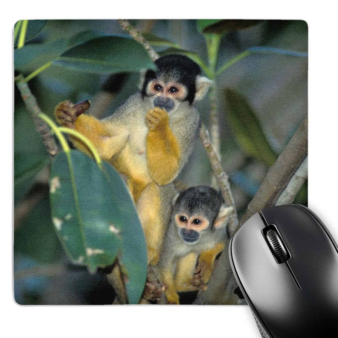 3DRose 8x8 Inch Mouse Pad with Common Squirrel Monkey Amazon Wildlife Design - Non-Slip Rubber Base Computer Gaming Mousepad for Office & Home Use (Kevin Schafer Photography Collection)
