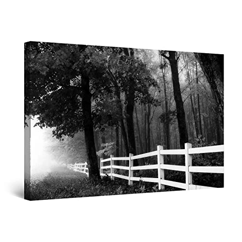 Black White Forest