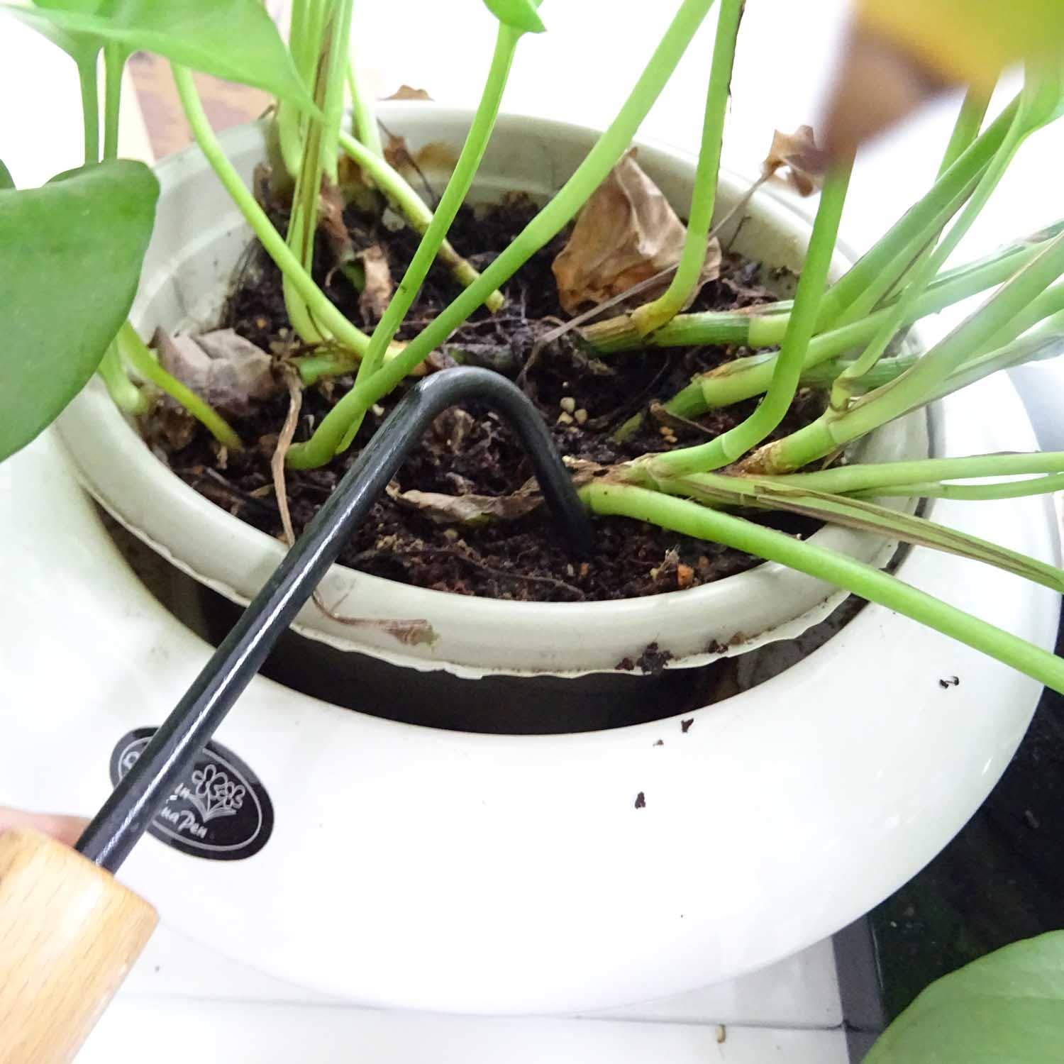 Honbay 1PCS Single-Claw Hand Weeder Tool - 8.5 Inch Stainless Steel Garden Weeder for Efficient Weed Removal - Perfect for Home, Outdoor, Lawn & Vegetable Garden Care