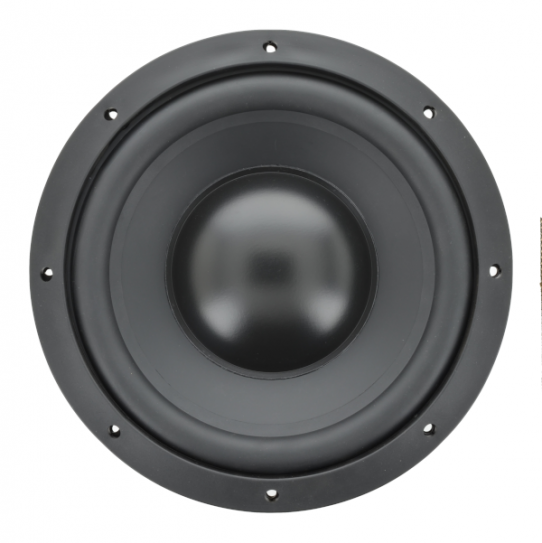Bold North Audio BWF 1001 10-Inch 5 Ohm High-Performance Car Subwoofer - Powerful Bass for Car Audio Systems & Home Theater (Model 82131) | Perfect for Music Lovers & Bass Enthusiasts