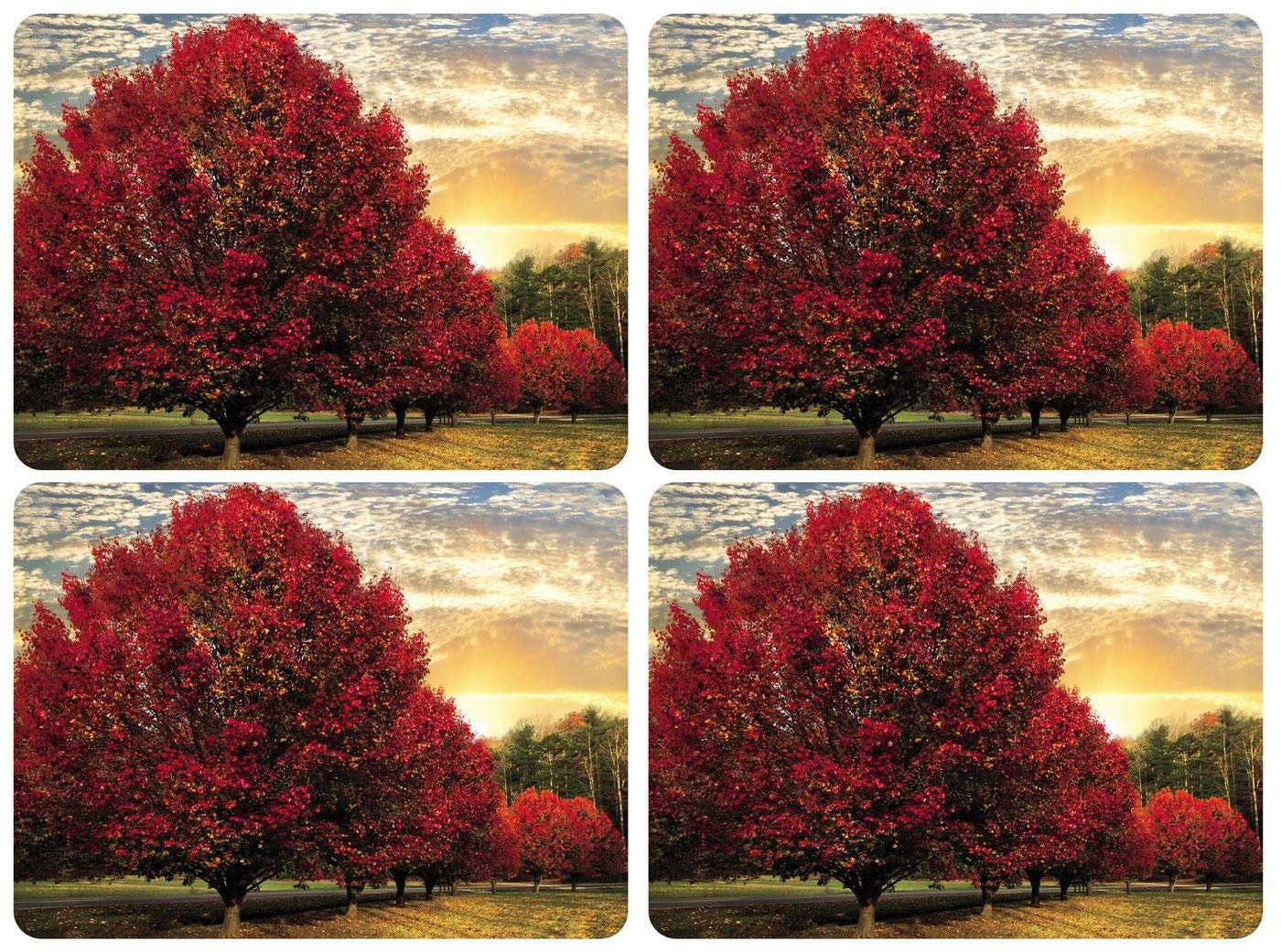 Pimpernel Set of 4 Crimson Trees Placemats - Waterproof Table Mats for Dining, Kitchen, and Holiday Decor - Elegant Fall and Christmas Table Setting Accessories