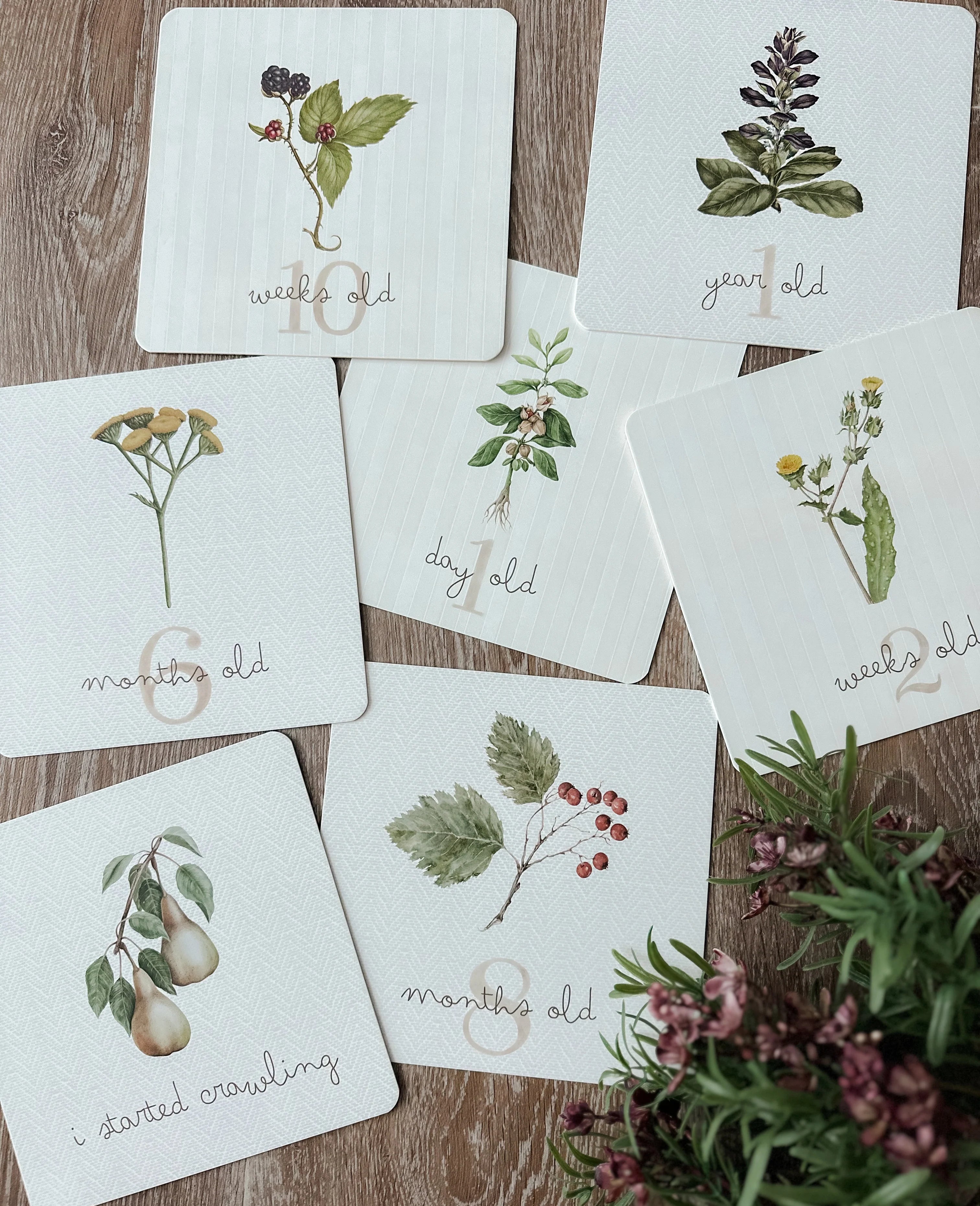 Pop Ya Tot Botanical Milestone Card Set - Baby Growth Photo Props & Newborn Memory Keepsake - Perfect for Monthly Baby Pictures, First Birthday, and Nursery Decor