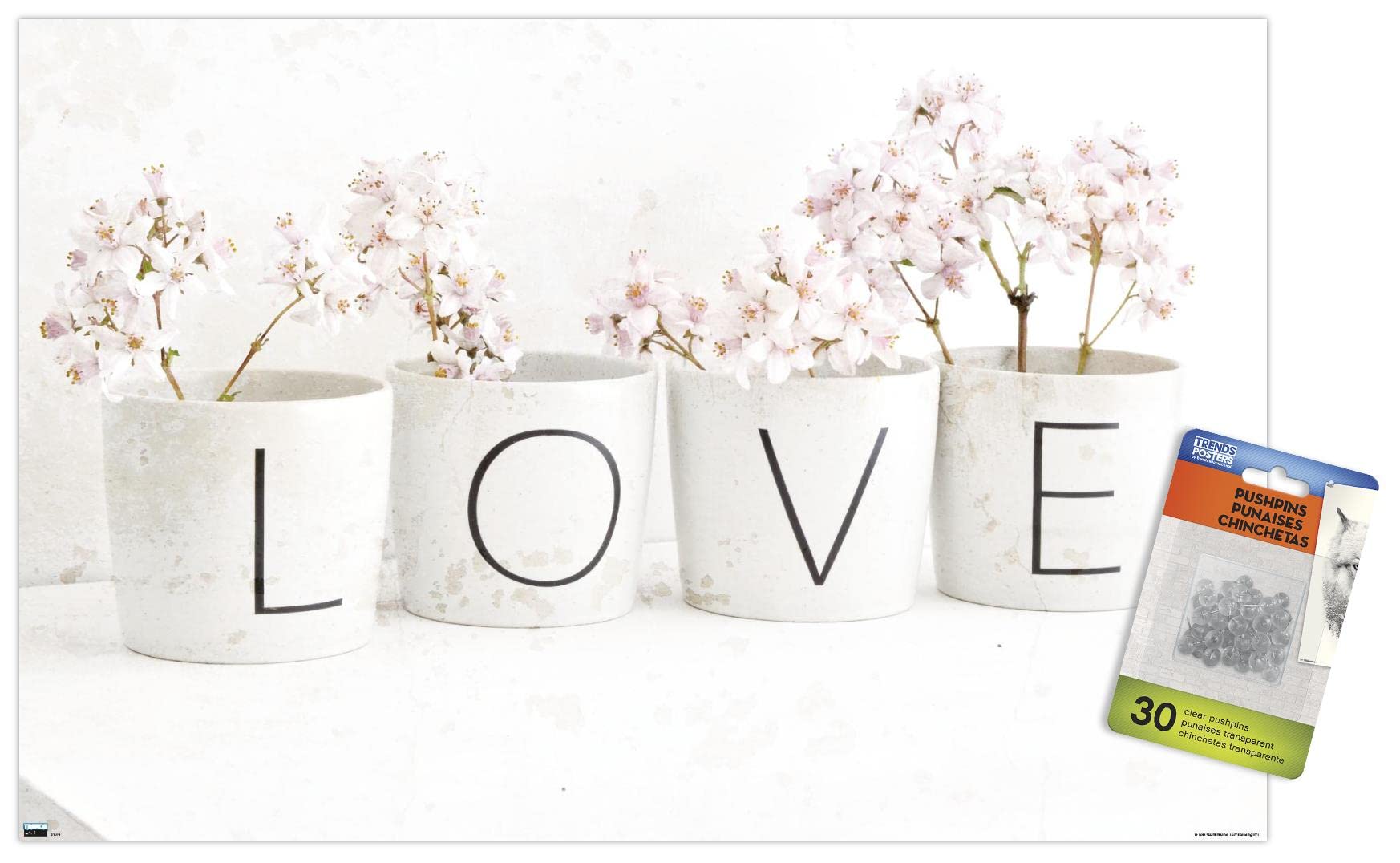 Trends International Tom Quartermaine Love Blossom in Cups Wall Poster - 24x36 Inch Framed Art Print with Push Pins - Perfect for Home Decor, Office & Dorm Room Aesthetic