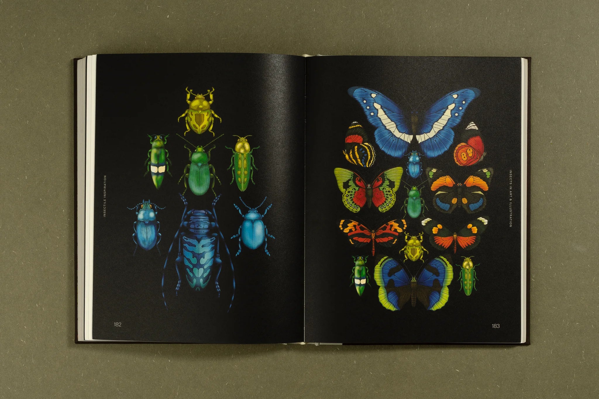 Insectile Inspiration: Insects in Art and Illustration - Unique Wall Decor for Nature Lovers & Home Office Aesthetics