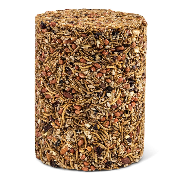 Premium Large Acrylic Insect, Nut & Fruit Display Case - Perfect for Entomology Collections, Classroom Specimens, and Nature Exhibits