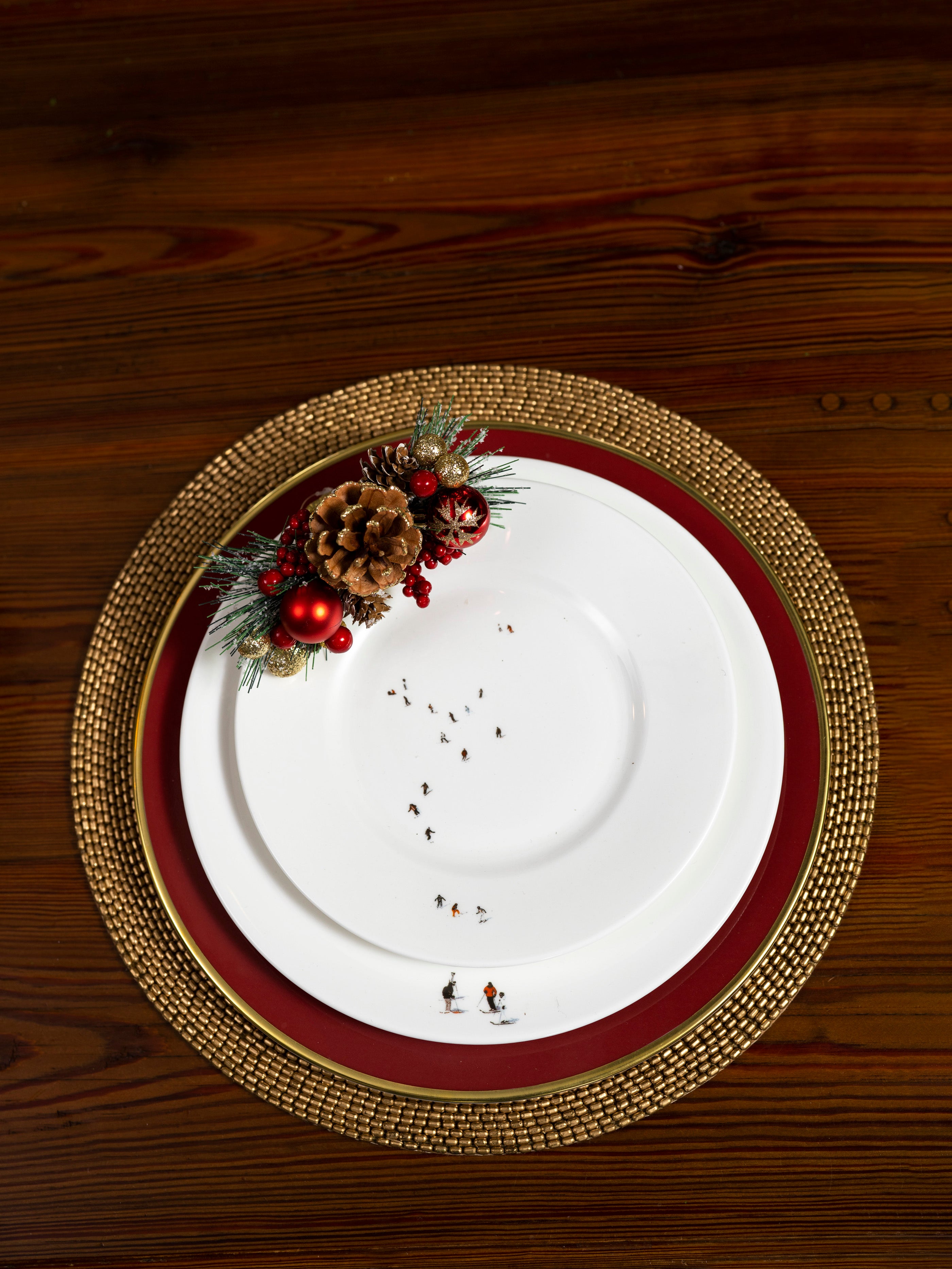 Premium Large Skier Plate - Durable & Lightweight for Skiing, Snowboarding & Outdoor Adventures - Perfect for Ski Resorts, Backcountry Trips & Winter Sports Enthusiasts
