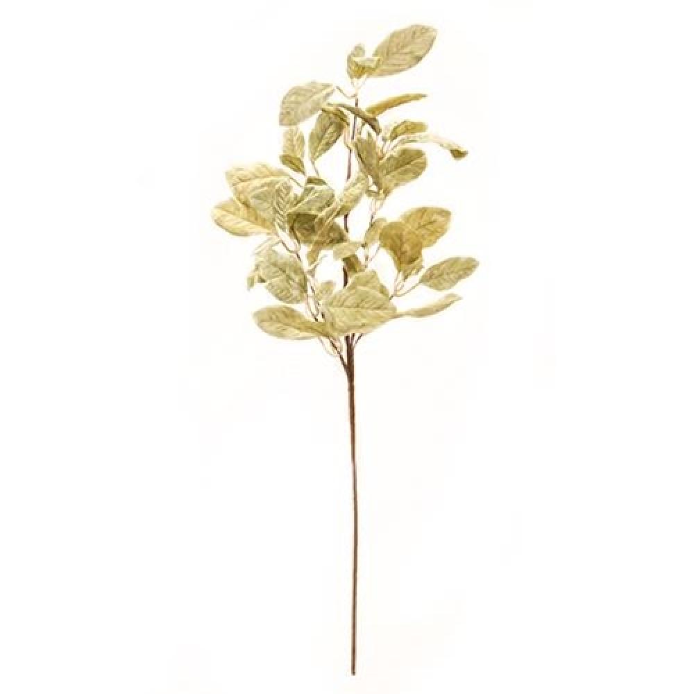 Halcyon Leaf Spray 33 - Natural Plant Mister for Indoor Plants, Perfect for Home, Office & Garden Use