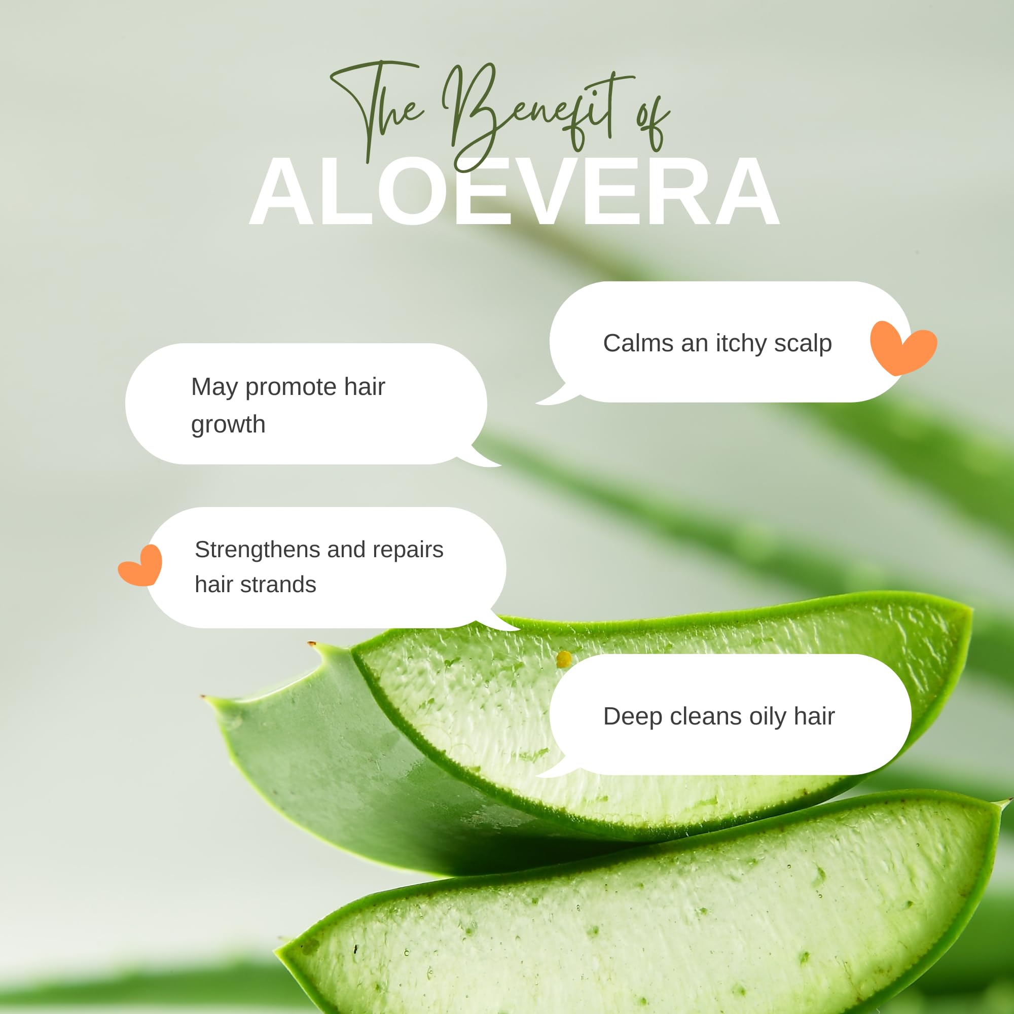 Future Organics Pure Aloe Vera Hair Oil - 100ml | Natural Ayurvedic Herbs for Hair Growth, Dry Hair Moisturizer, Scalp Treatment | Reduces Dandruff & Strengthens Hair | Healthy Hair Care for Men & Women | Perfect for Daily Use & Hair Repair Therapy