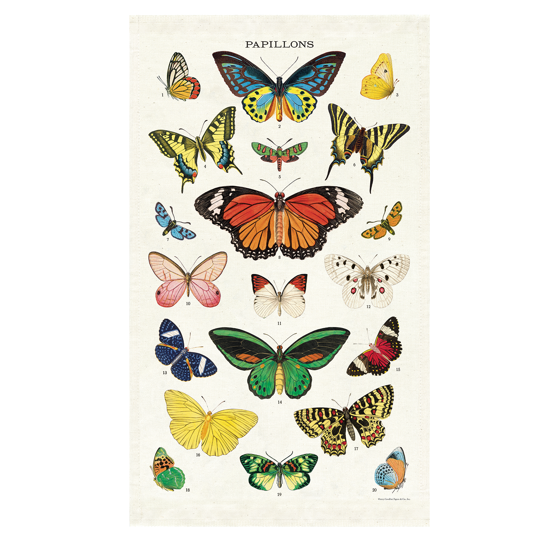 Butterflies 2 Tea Towel - Premium Cotton Kitchen Towel with Butterfly Design - Perfect for Drying Dishes, Decorating Kitchen & Gift Giving
