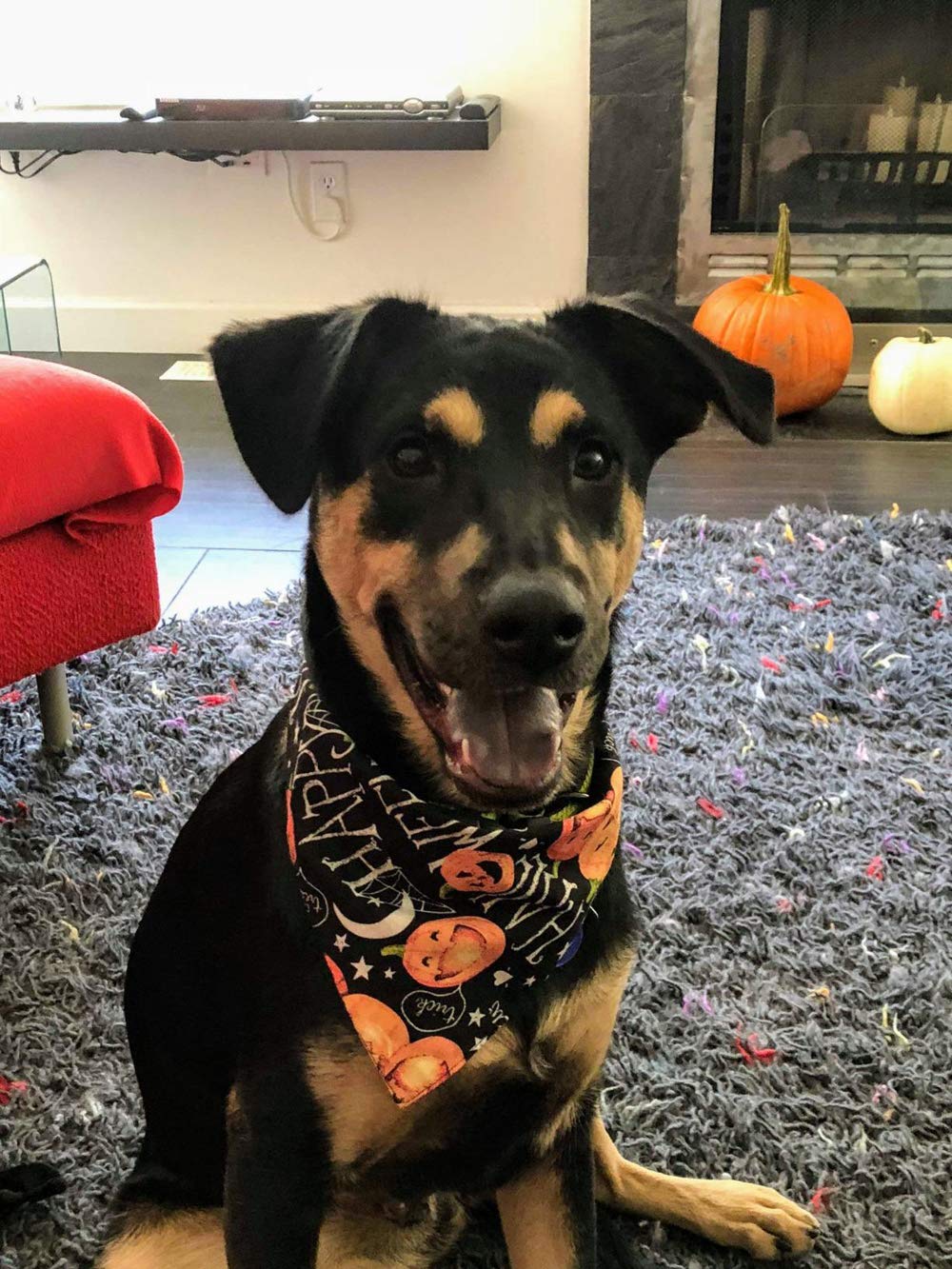 4 Pack Halloween Dog Bandana - Reversible Pumpkin Print Triangle Bib Scarf for Dogs & Cats - Pet Costume Accessories (Large Size) - Perfect for Halloween Parties, Pet Photos & Costume Contests
