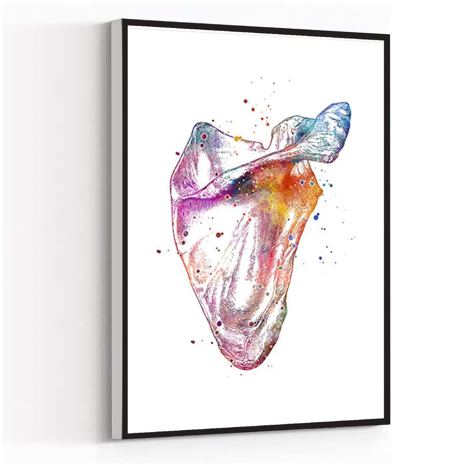 Scapula Watercolor Print Art - 16x24 Inch Framed Modern Canvas Wall Decor for Doctor Office, Orthopedic Surgeon Clinic & Medical Student Gift | Perfect for Living Room, Bedroom & Professional Spaces