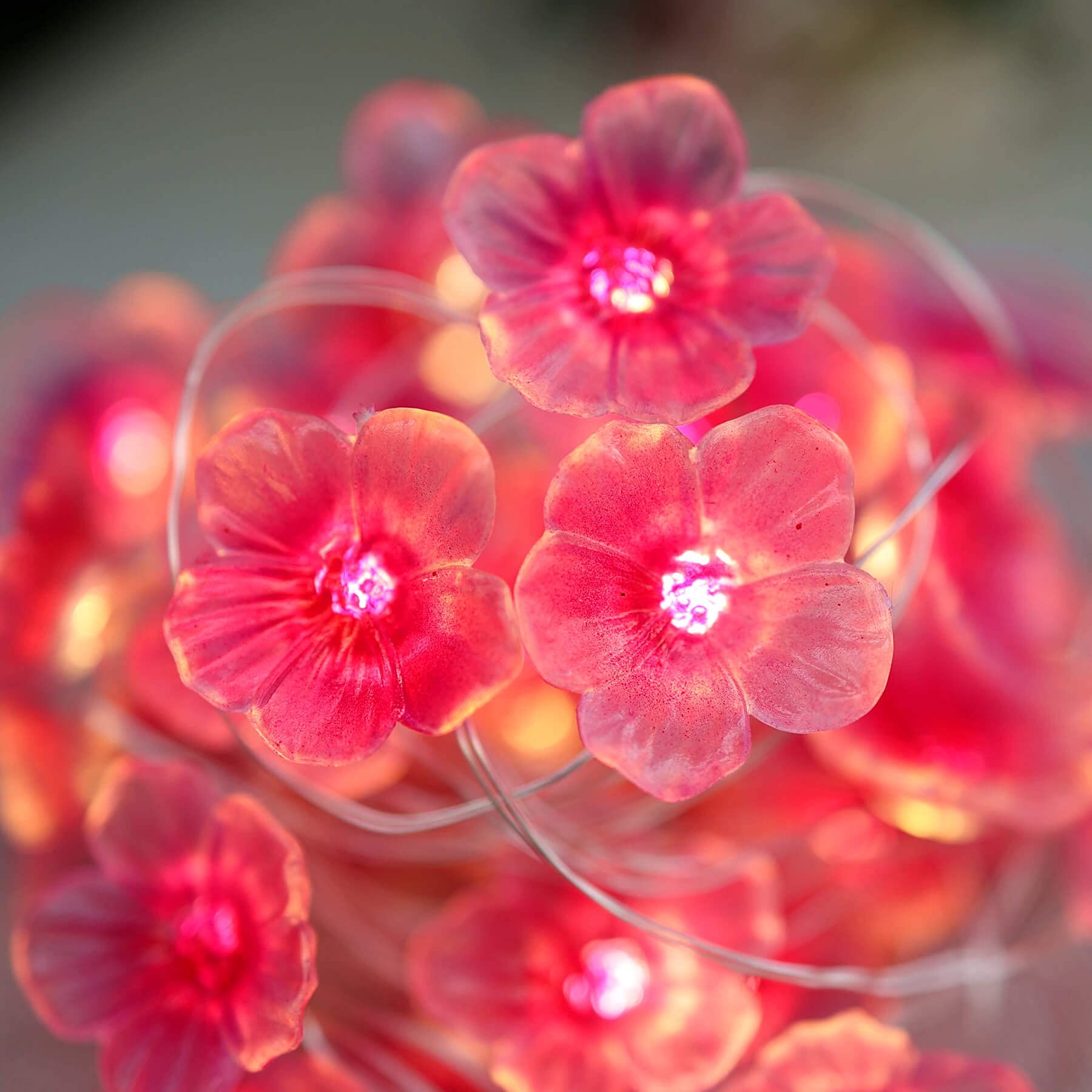 Cherry Blossom Fairy String Lights - 10ft 30LED Sakura Pink Flower Lights with Timer & Remote Control, Romantic Floral Garland for Bedroom, Wedding, Party, Garden & Home Décor