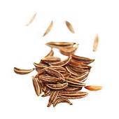 Organic Cumin Seeds Bulk 5 lb - Premium Quality for Cooking, Spice Blends & Ayurvedic Remedies - Perfect for Indian Cuisine, Homemade Seasonings & Herbal Teas