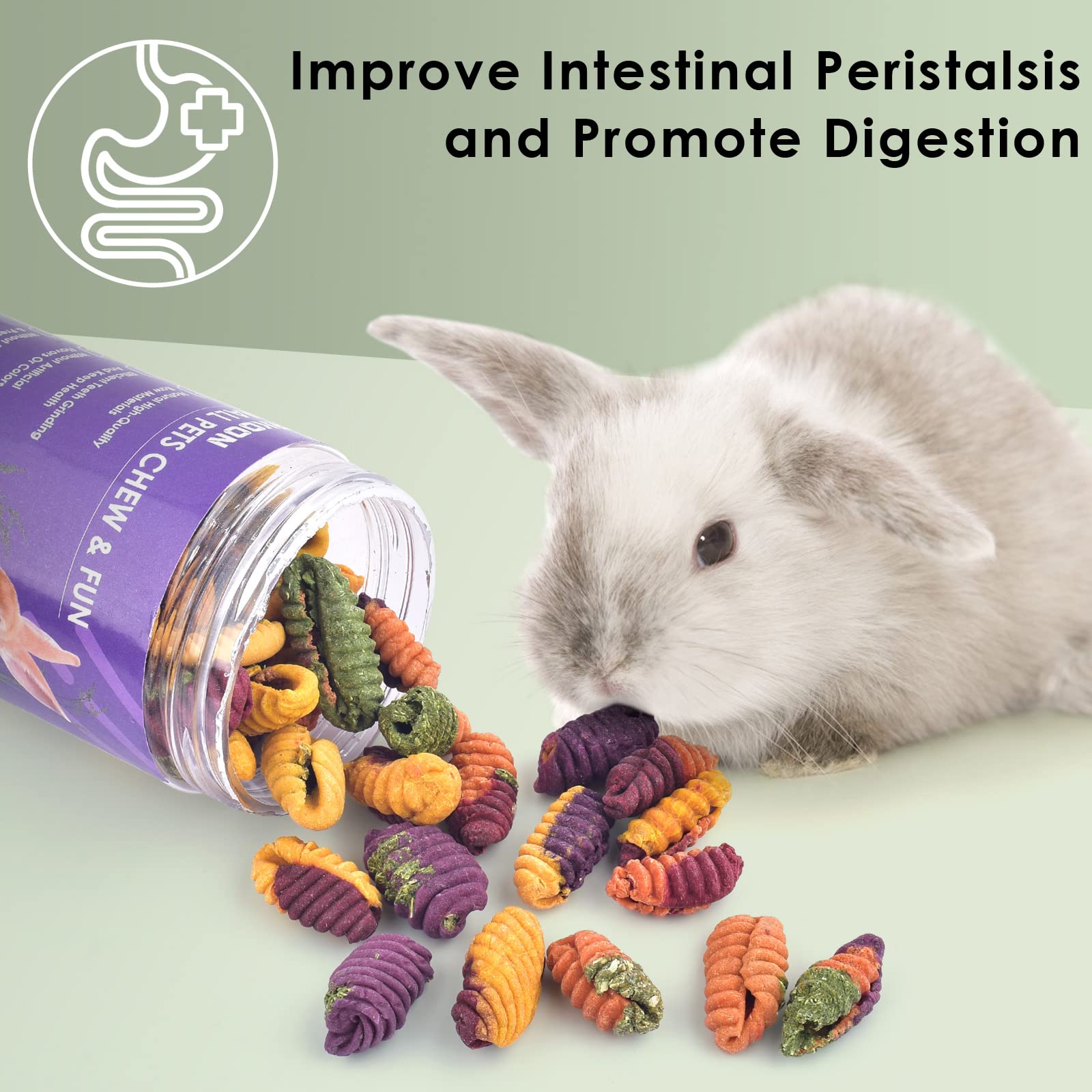 ERKOON Small Chinchilla Treats & Chew Toys for Dental Health - Natural Wooden Chews for Rabbits, Guinea Pigs, Gerbils, Rats & Dwarf Hamsters - Perfect Cage Accessories for Small Pets' Teeth Care & Playtime