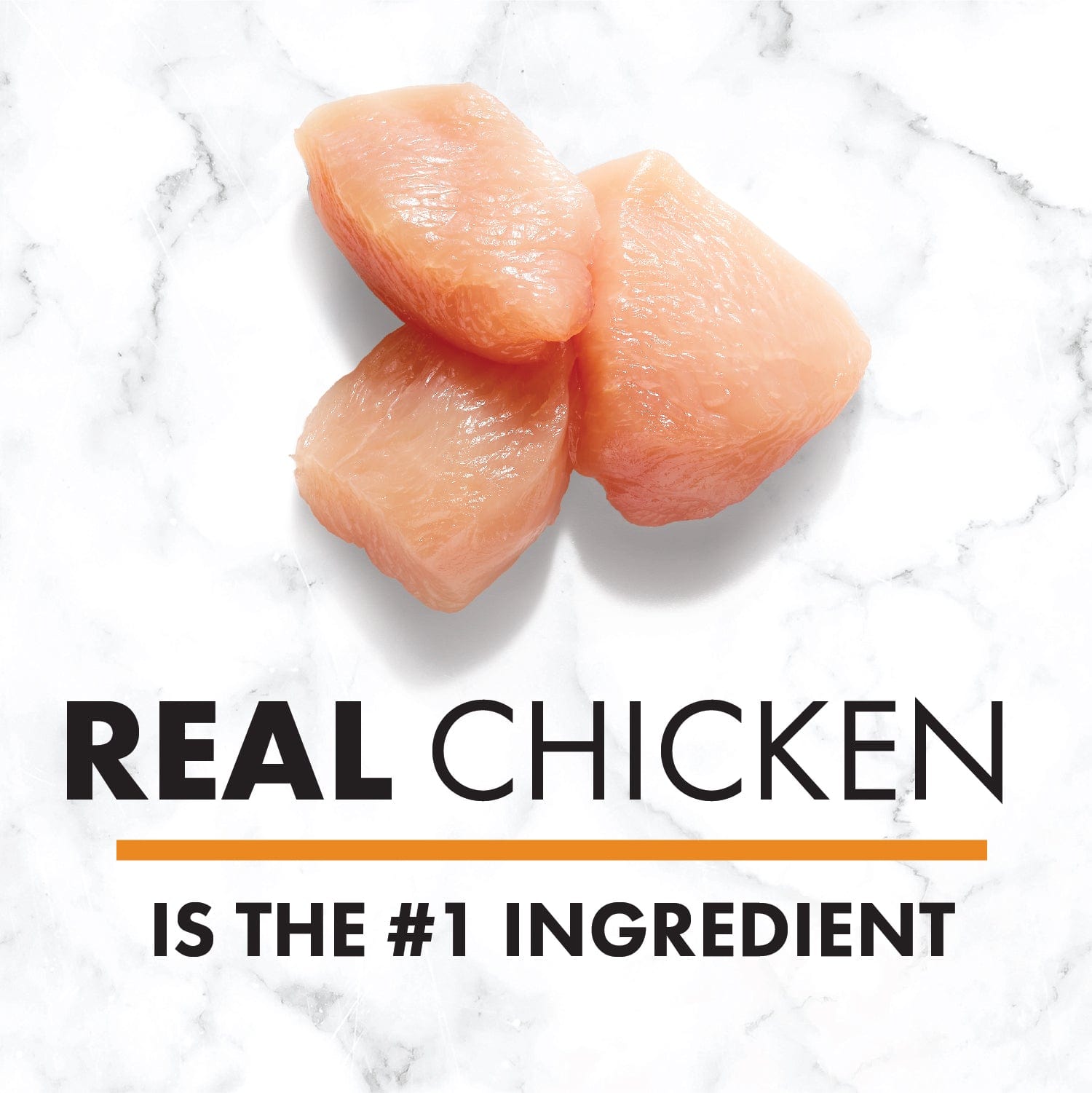 Nutro Premium Loaf Adult Canned Dog Food with Chicken, Potato, Carrot & Pea - 12.5oz (Pack of 12) | High Protein Grain-Free Wet Food for Dogs | Perfect for Mealtime, Training Rewards & Senior Dogs