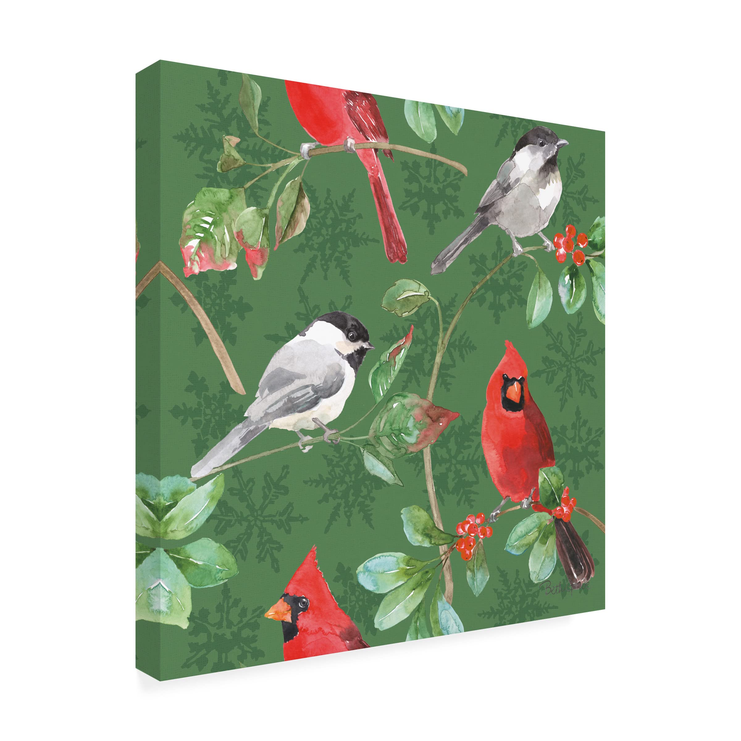 Beth Grove 'Holiday Flora Pattern IIIB' Canvas Wall Art - Floral Botanical Painting for Living Room, Bedroom & Office Decor - Trademark Fine Art Collection
