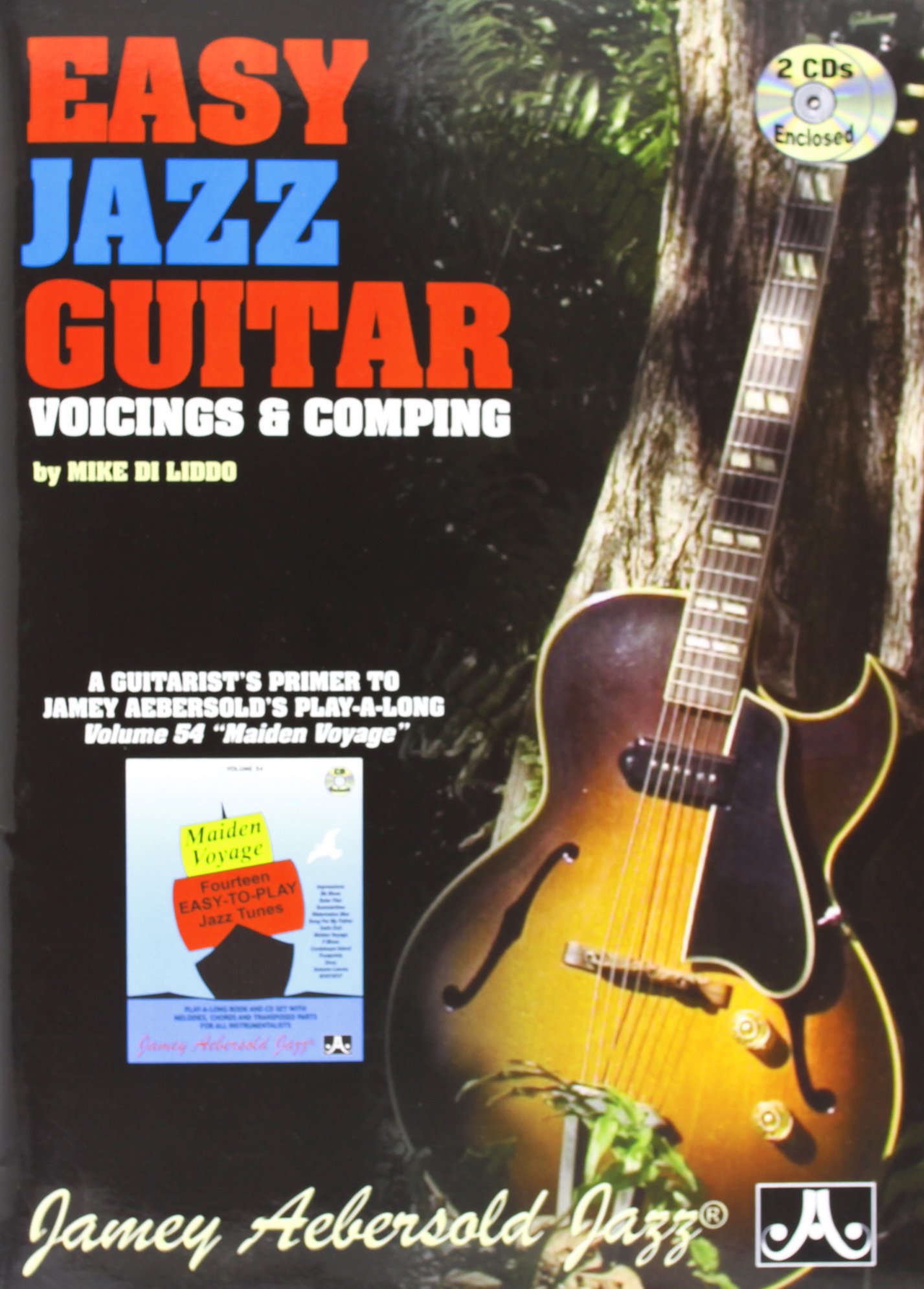 Easy Jazz Guitar for Beginners - Learn Jazz Guitar Chords & Techniques | Perfect for Home Practice, Performances & Music Lessons