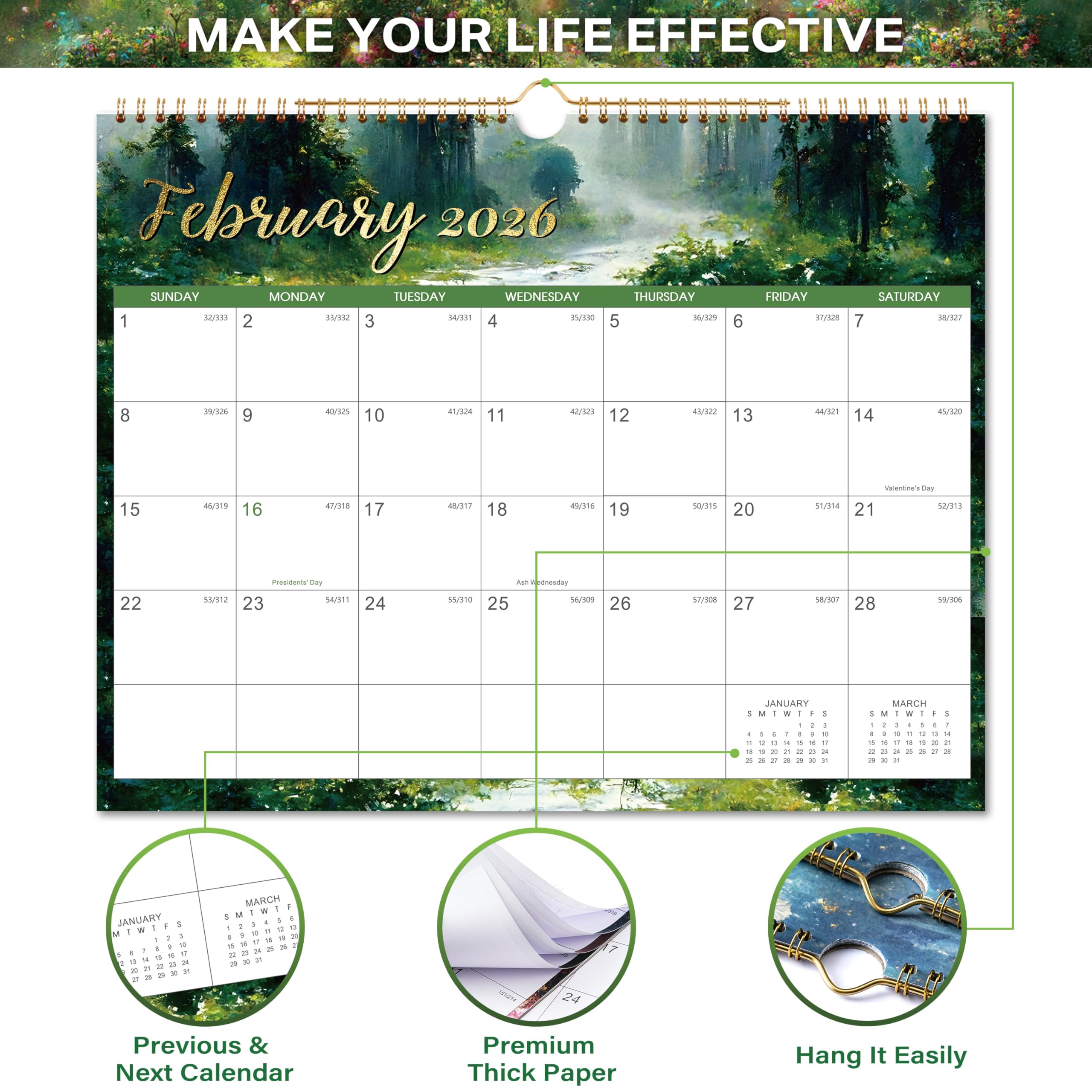 2025-2026 Wall Calendar | 18 Months (July 2025 - December 2026) | 15