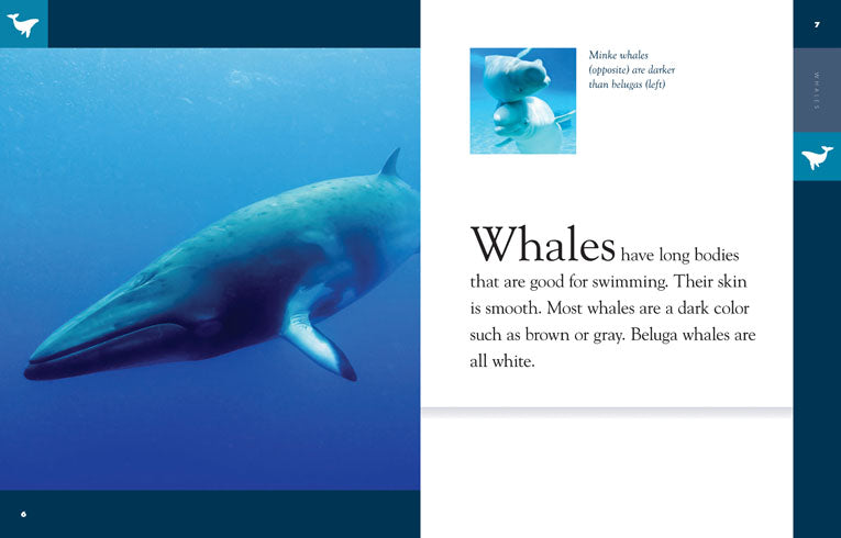 Amazing Animals (2014): Whales - Educational Documentary About Marine Life | Perfect for Nature Lovers, Classroom Learning & Family Movie Nights