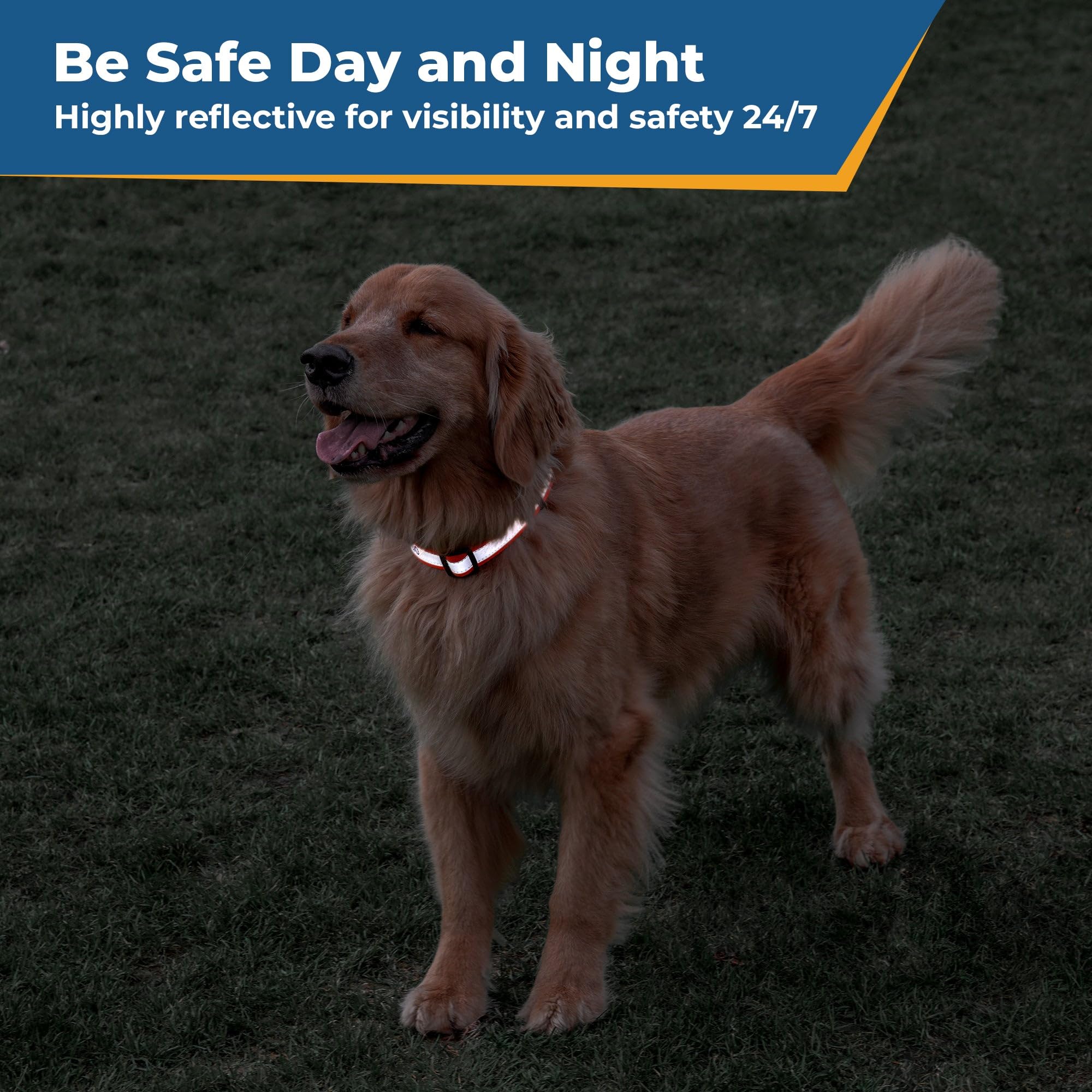 Custom Embroidered Reflective Dog Collar with Pet Name & Phone Number - Adjustable Safety Collar for Small, Medium & Large Dogs (Beige) | Perfect for Night Walks, Jogging & Outdoor Adventures